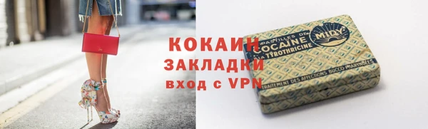 ПСИЛОЦИБИНОВЫЕ ГРИБЫ Армянск