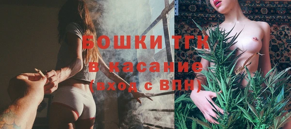 крисы Аркадак