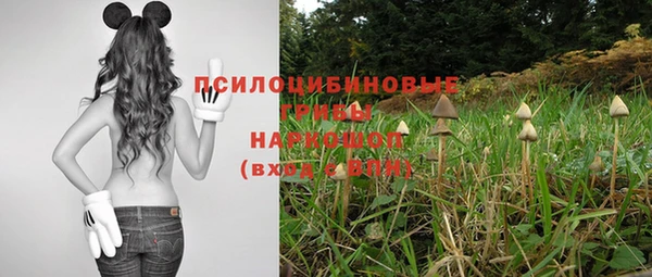 экстази Арсеньев
