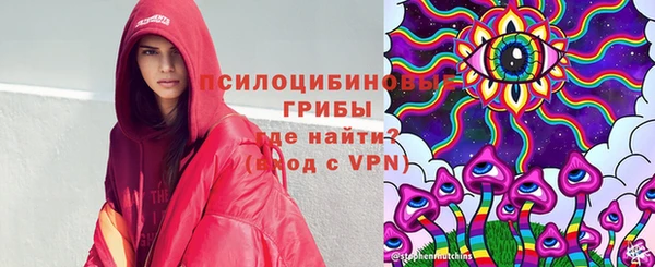ПСИЛОЦИБИНОВЫЕ ГРИБЫ Армянск
