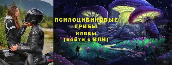 крисы Аркадак