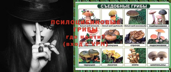 ПСИЛОЦИБИНОВЫЕ ГРИБЫ Армянск