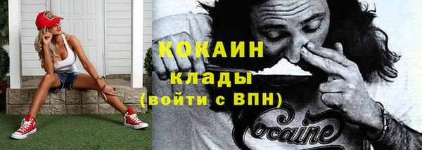 крисы Аркадак