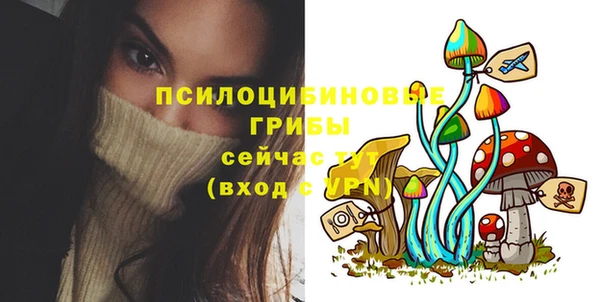 ПСИЛОЦИБИНОВЫЕ ГРИБЫ Армянск