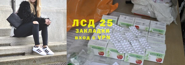 ПСИЛОЦИБИНОВЫЕ ГРИБЫ Армянск