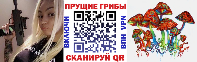 Псилоцибиновые грибы Psilocybine cubensis  Междуреченск 