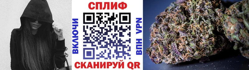 продажа наркотиков  Междуреченск  Каннабис индика 